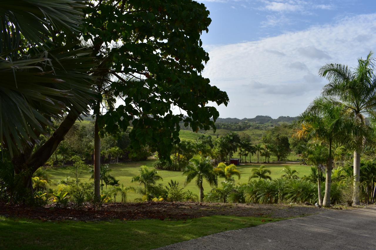 Hotel Hacienda Agroturistico Vista Hermosa Camuy Екстер'єр фото